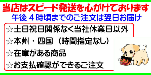 午後4時頃までのご注文は当日発送！本州と四国は翌日お届けとなります！